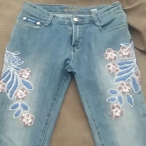 Gorgeous Beaded Applique Low rise Jeans